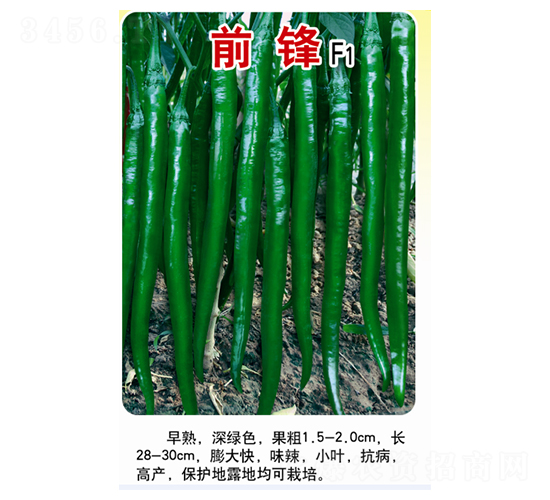 ǰ�h-�����N��-�r(n��ng)���f