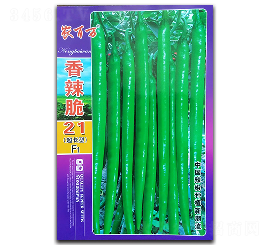 ������21̖(h��o)-�����N��-�r(n��ng)���f(w��n)