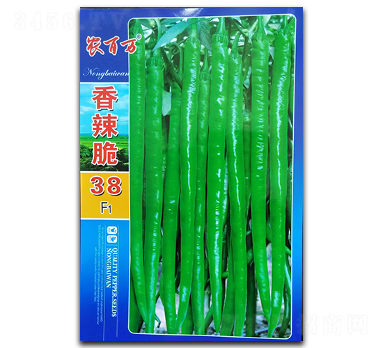 ������38̖-�����N��-�r(n��ng)���f