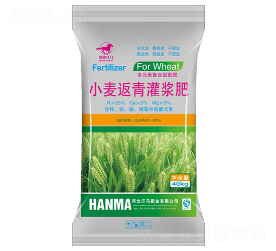 С��������{��-�ӱ����R