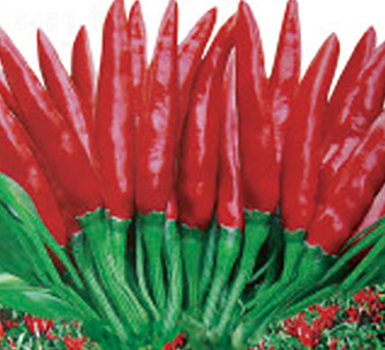 ʥ�t1̖(h��o)-�����N��-�A�S�N�I(y��)