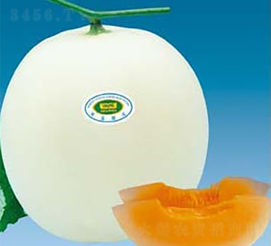 �����̖-��ϷN��-�A�S�N�I(y��)