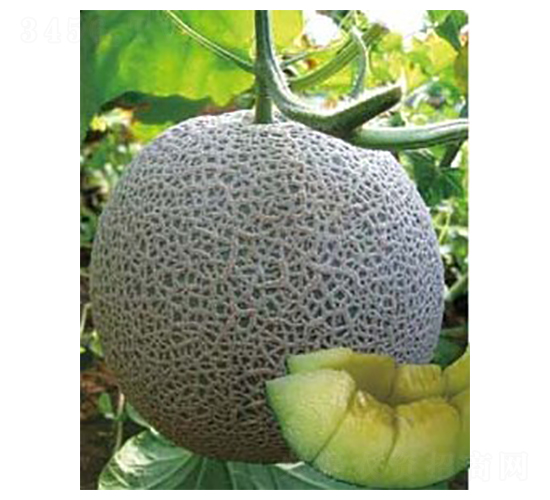 ������̖-��ϷN��-�A�S�N�I(y��)