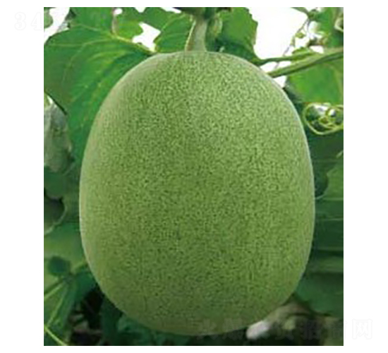 ����280-��ϷN��-�A�S�N�I(y��)