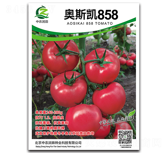 �W˹�P858-���ѷN��-���r(n��ng)����