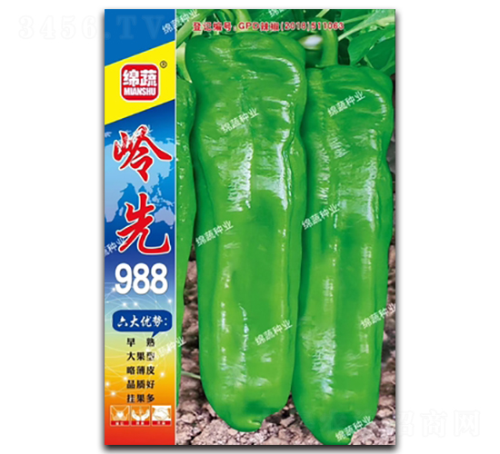 �X��988-�ݽ��N��-�d�߷N�I(y��)