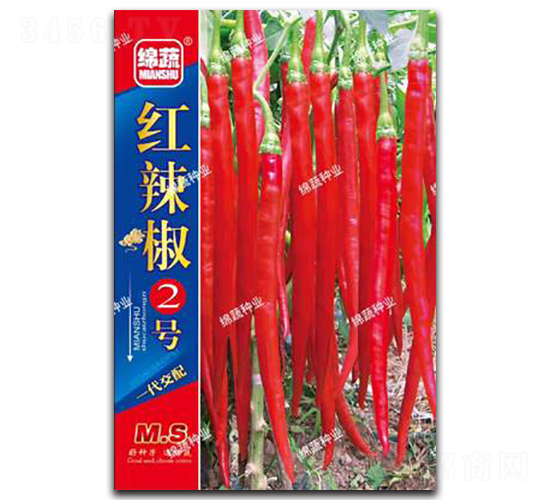 �t����2̖-�����N��-�d�߷N�I(y��)