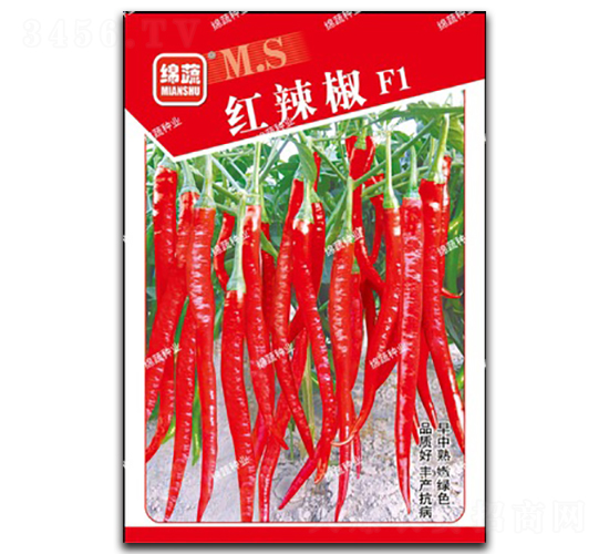 �t����-�����N��-�d�߷N�I(y��)