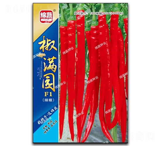 ���M�@-�����N��-�d�߷N�I(y��)