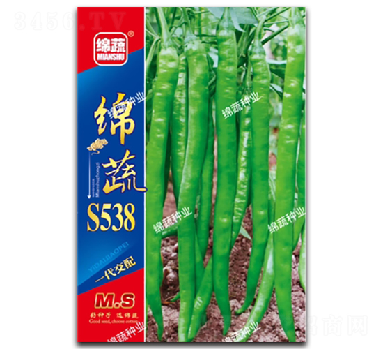 �d��S538-�����N��-�d�߷N�I(y��)