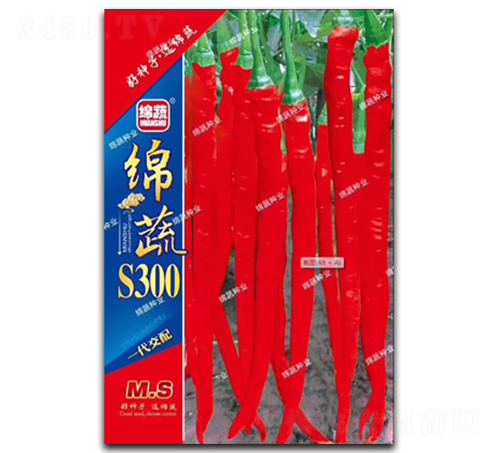 �d��S300-�����N��-�d�߷N�I(y��)