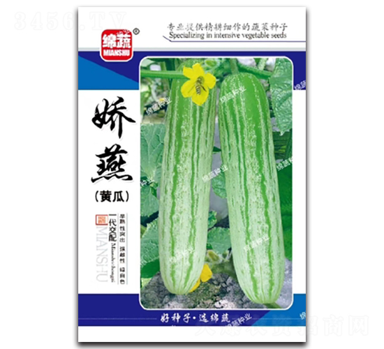 ����-�S�ϷN��-�d�߷N�I(y��)