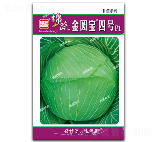 ���A����̖(h��o)-���˷N��-�d�߷N�I(y��)