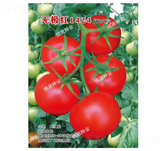 �o(w��)�O�t1424-���ѷN��-�d�߷N�I(y��)