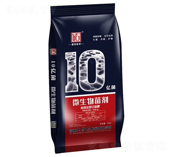 10�|������l(f��)�Ͷ�����-ɏ�����r