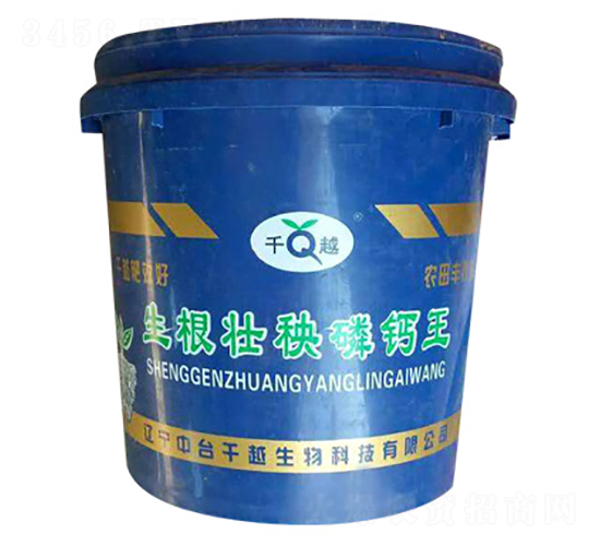 �����������}��-ǧԽ