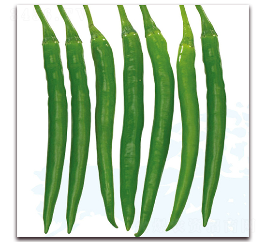 ����һ̖(h��o)-�����N��-��֮�W