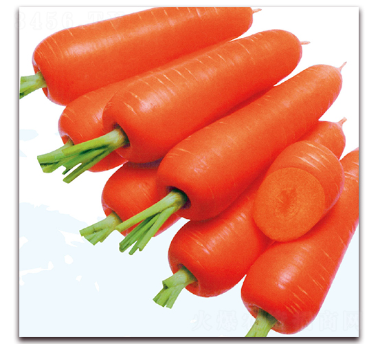 ����001-�}���N��-��֮�W