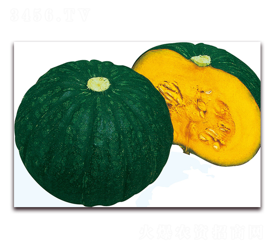 ����2̖(h��o)-�ϹϷN��-��֮�W