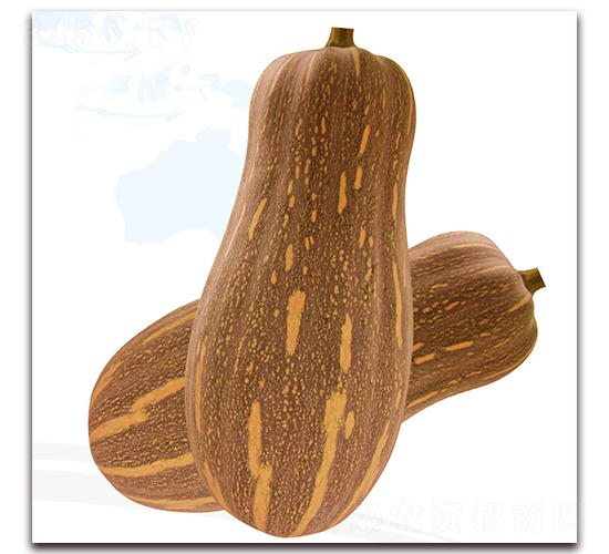 ����1̖(h��o)-�ϹϷN��-��֮�W