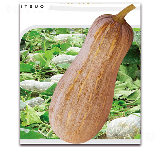 �����۱�-�ϹϷN��-��֮�W