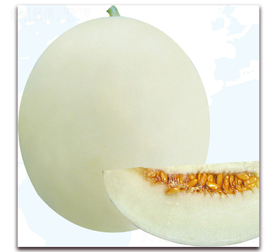 �֠���-��ϷN��-��֮�W