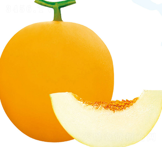 ����ɯ��3̖(h��o)-��ϷN��-��֮�W