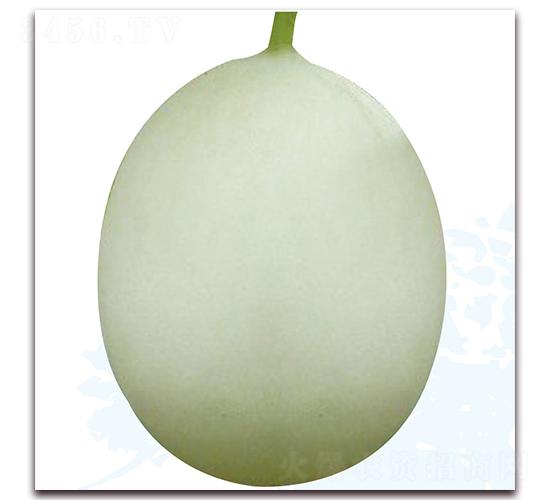 ����7̖-��ϷN��-��֮�W