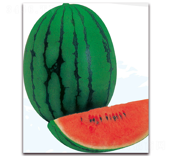 �ñ���-���ϷN��-��֮�W