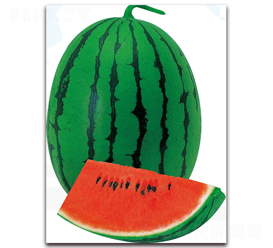 ����-���ϷN��-��֮�W