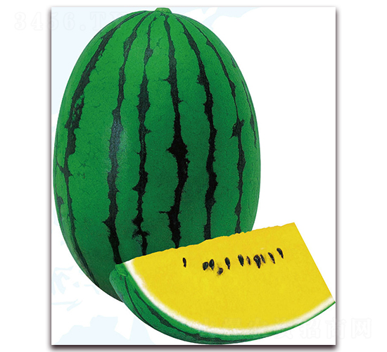 �����-���ϷN��-��֮�W