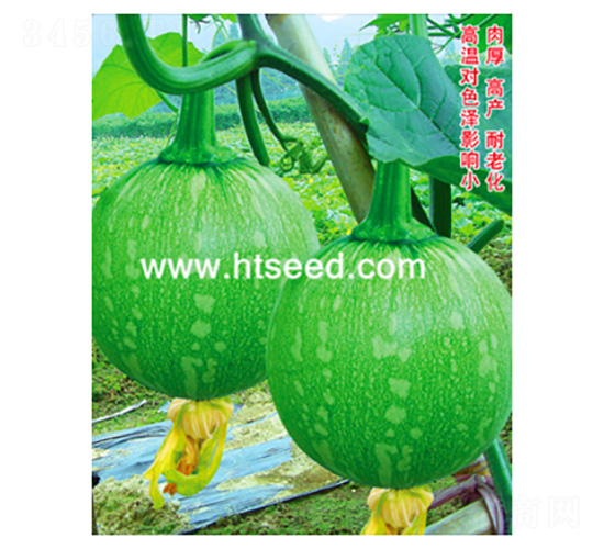 ��������-�ϹϷN��-���؈@ˇ