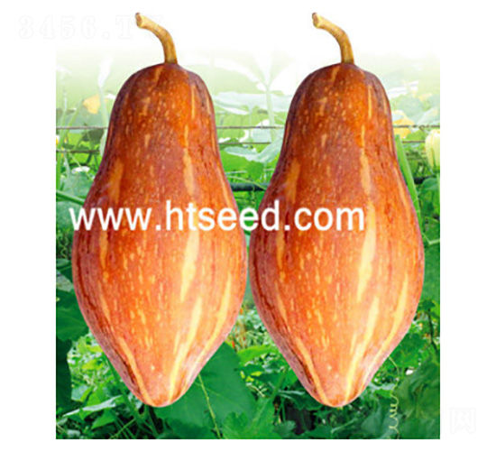 ̩����-�ϹϷN��-���؈@ˇ