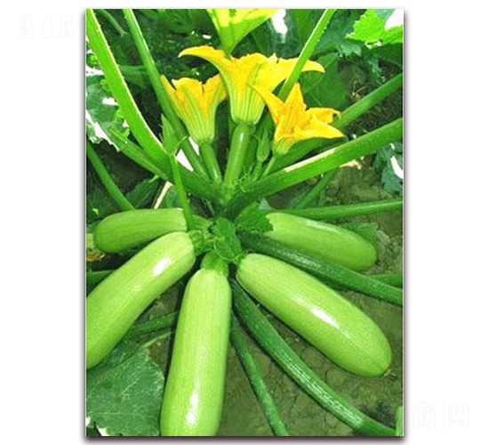 ���_-�����J�N��-���_(d��)