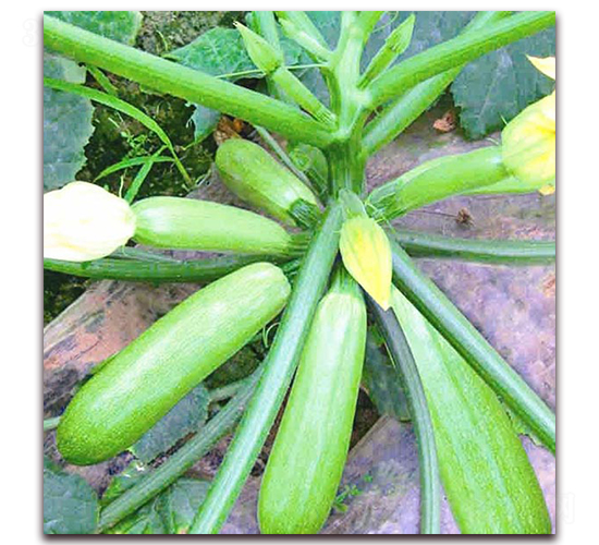 ��¡-�����J�N��-���_(d��)