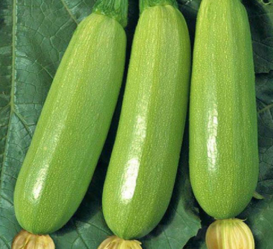 �G�S-�����J�N��-���_(d��)