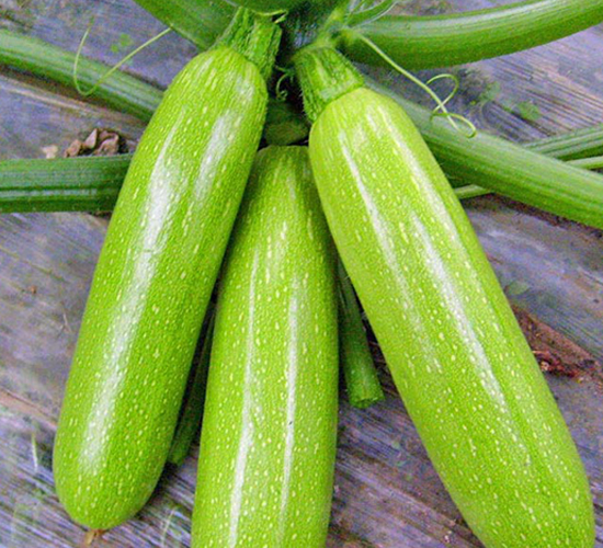 ����-�����J�N��-���_(d��)