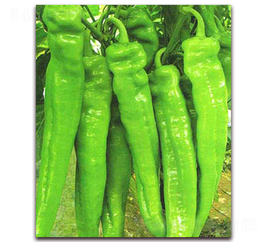 �L(zh��ng)�G798-�����N��-���_(d��)