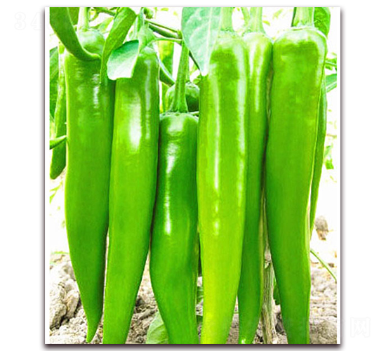 �ɱ�-�����N��-���_(d��)