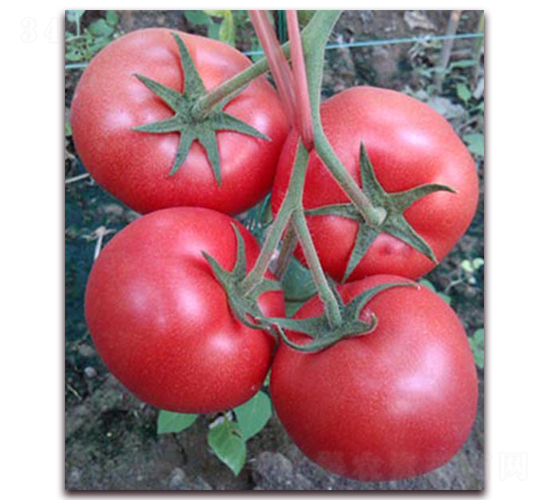 �ۼ���-��TY���ѷN��-���_(d��)