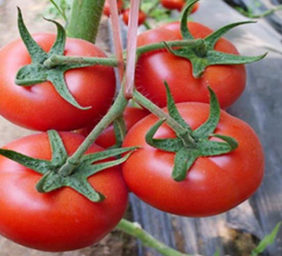 �t��-��TY���ѷN��-���_(d��)