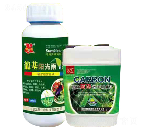 ̼ø΢����+ꖹ���¶-����