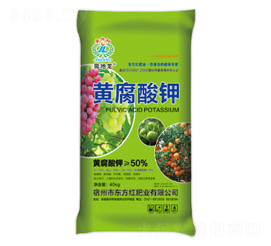 50%�S�����-�����-�|���t