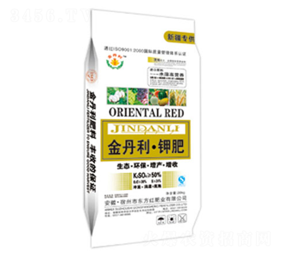 ������⛷�-�|���t