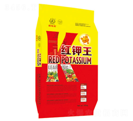 �t���-�|���t