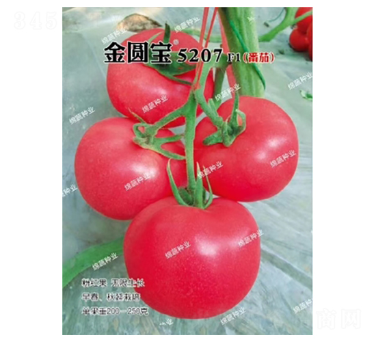 ���A��5207-���ѷN��-�d�߷N�I(y��)