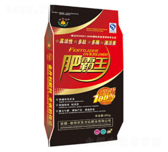 �ʰ���-�|���t