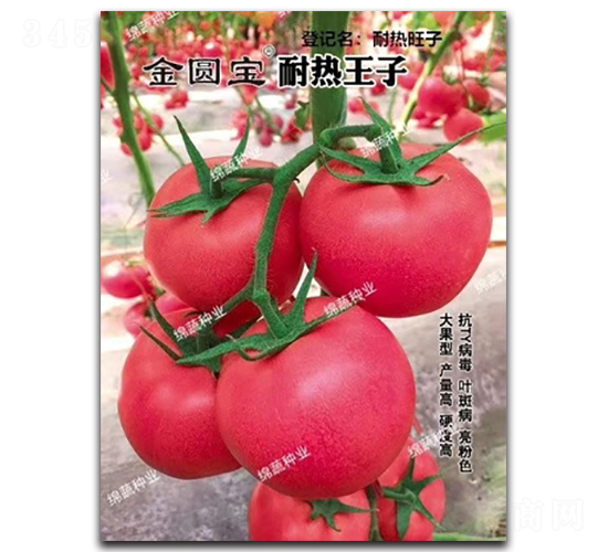 �͟�����-���ѷN��-�d�߷N�I(y��)