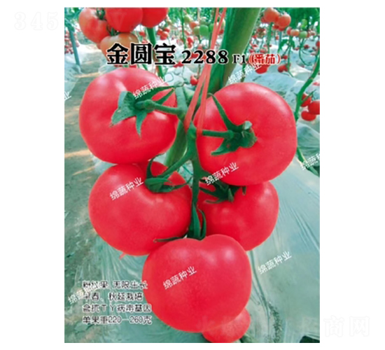 ���A��2288-���ѷN��-�d�߷N�I(y��)