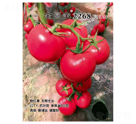 ���A��2268-���ѷN��-�d�߷N�I(y��)